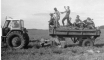 agriculture_tn.gif (7349 bytes)